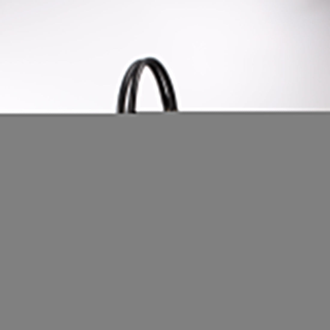 211944 Sukey GG Canvas Medium