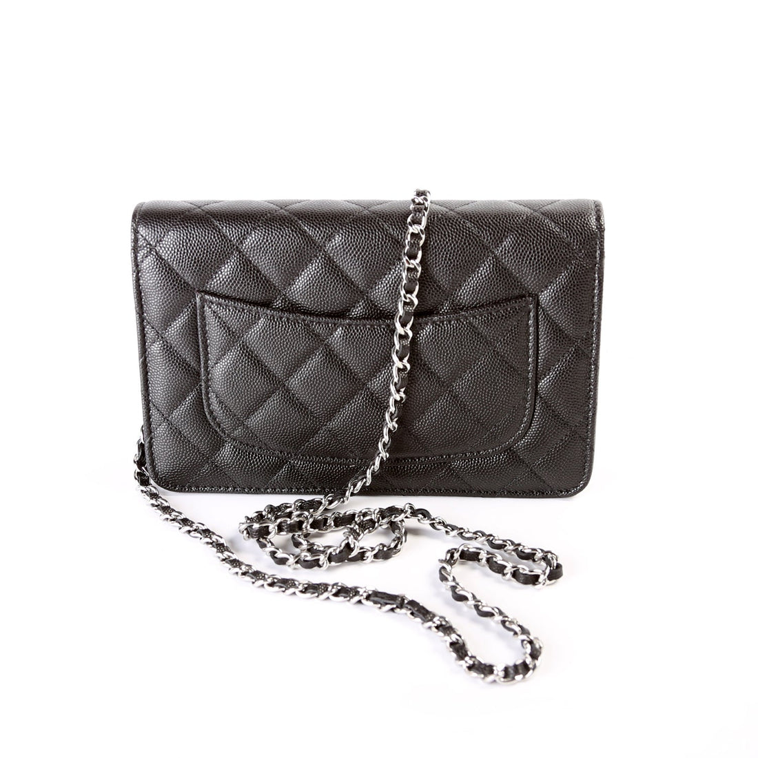 WOC 2024 Cruise Caviar