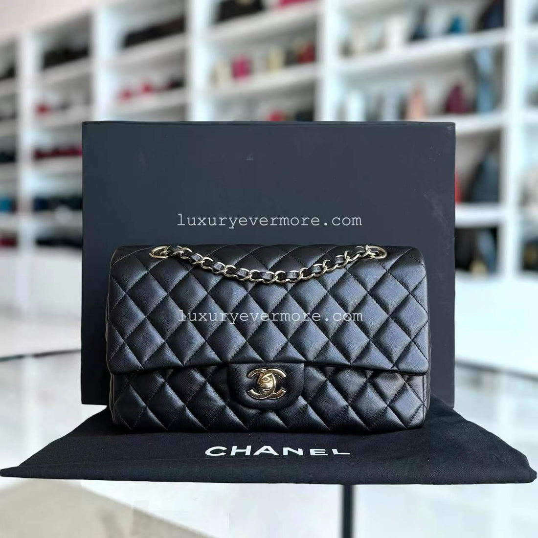 Classic Flap Medium Single Flap Quilted Lambskin Black Golden Hardware Series 19