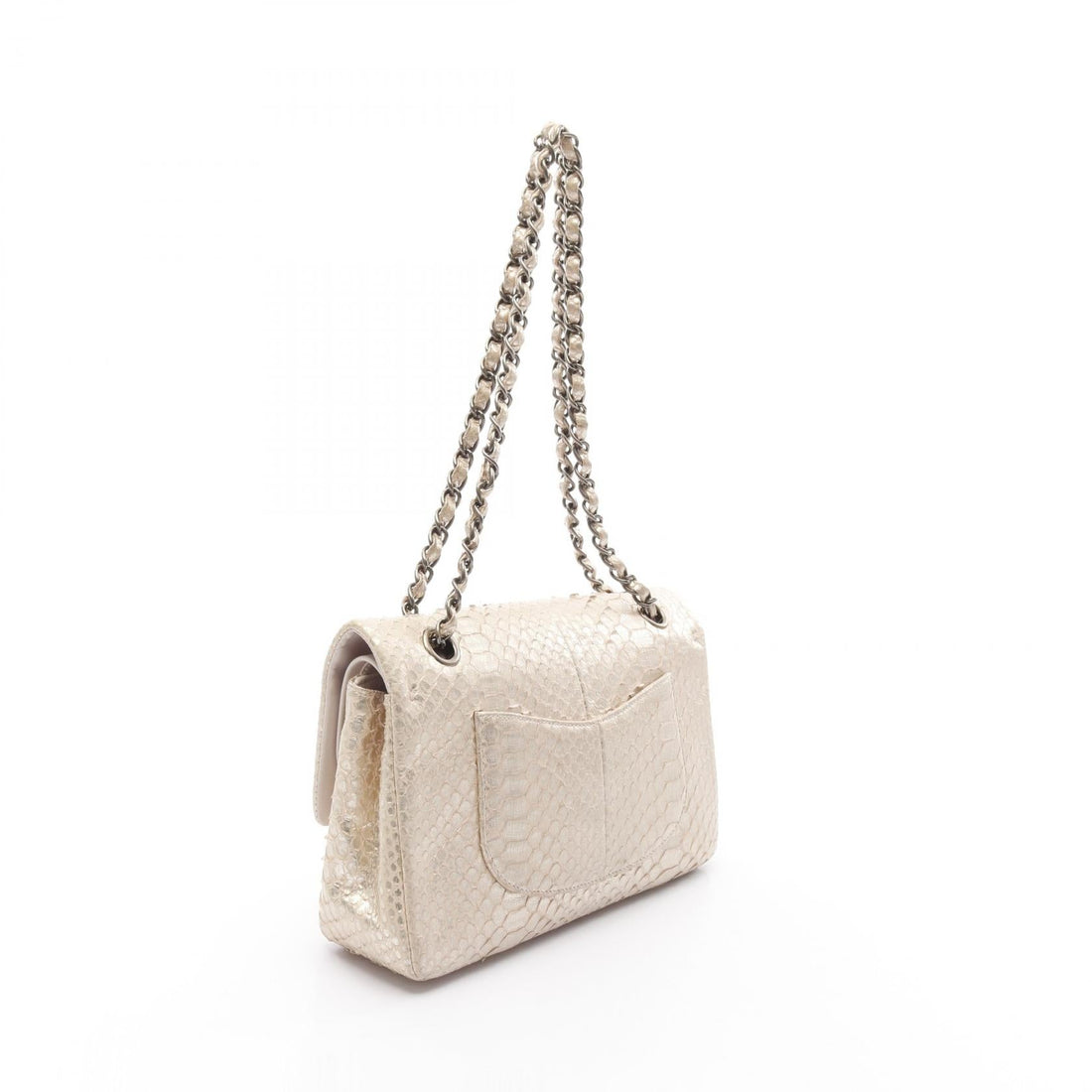 Chanel W Flap Exotic Leather Shoulder Bag