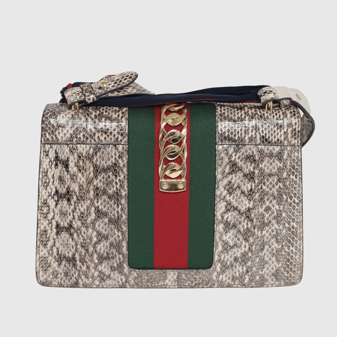 Multicolor Snakeskin Small Sylvie Shoulder Bag