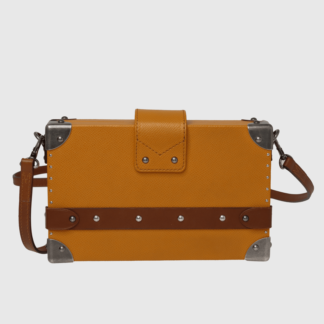 Mustard/Brown Petite Malle Croisière Clutch - Fall 2015