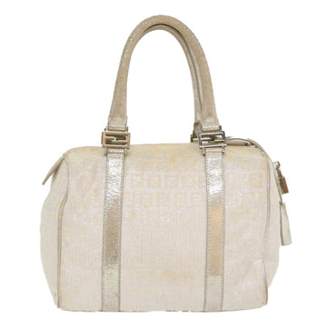 FENDI Zucchino Canvas Hand Bag Silver  40060