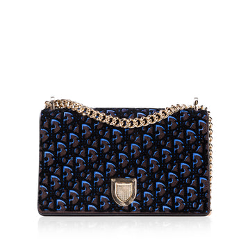 Christian Diorama Velvet Bag