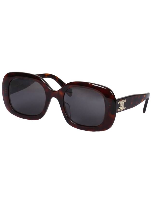 CELINE Eyewear Triomphe 10 Acetate Sunglasses Tortoise