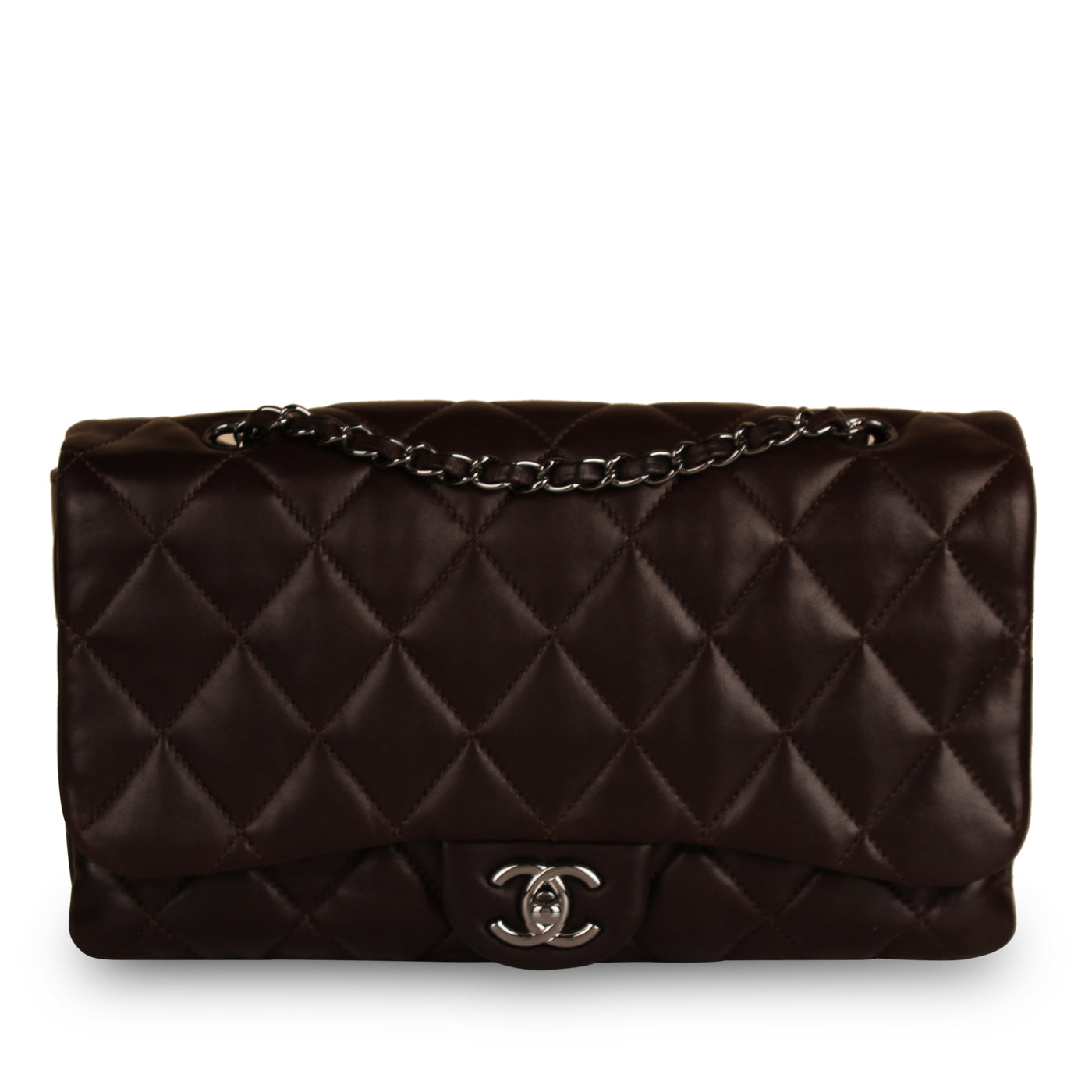 Chanel Seasonal Flap Bag