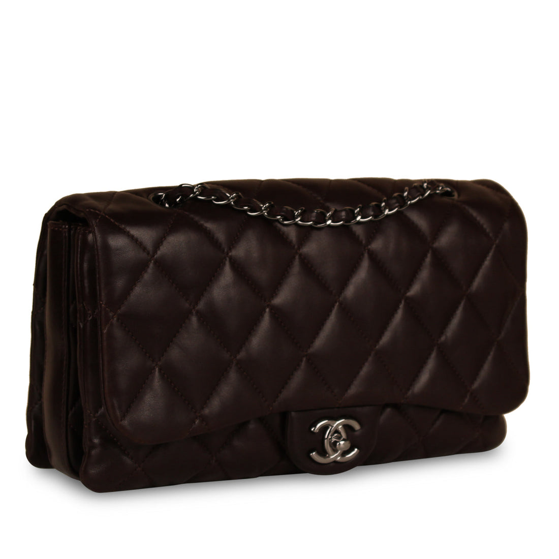 Chanel Seasonal Flap Bag