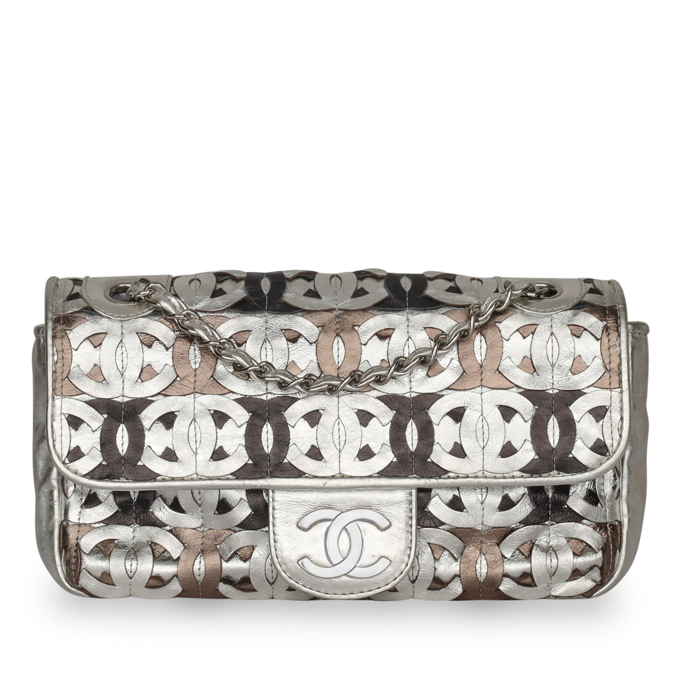 Chanel Seasonal Flap Bag