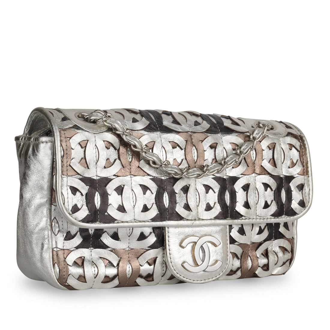 Chanel Seasonal Flap Bag