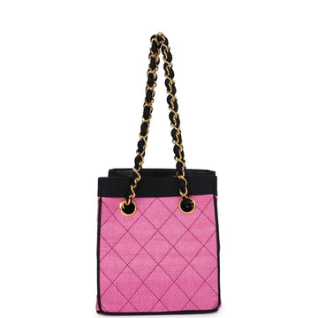 New Chanel Set of Two Mini Bucket Bag & Oval Handbag Pink and Black Raffia Gold Hardware