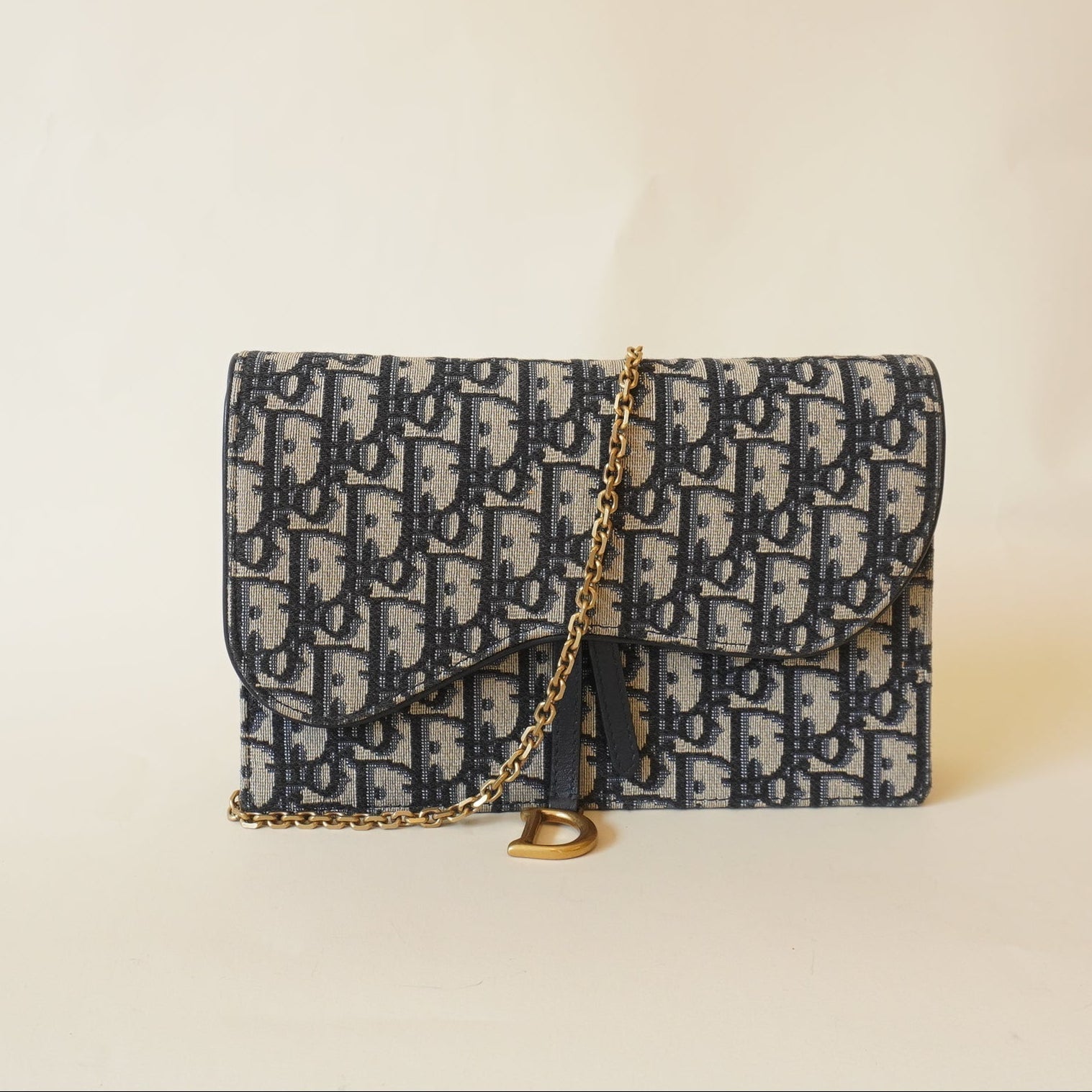 2018 Oblique Saddle Wallet On Chain Crossbody Bag