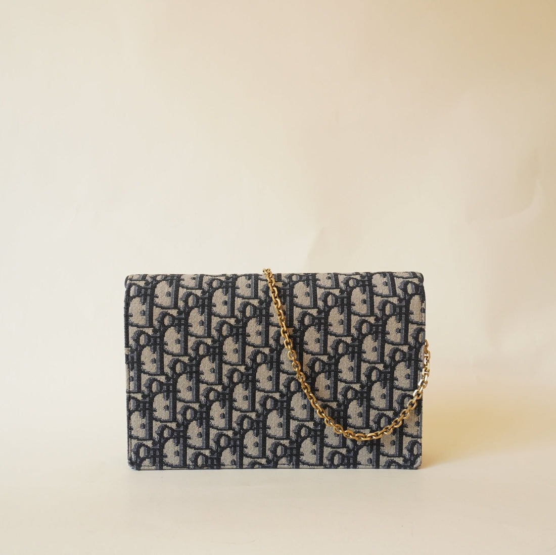 2018 Oblique Saddle Wallet On Chain Crossbody Bag