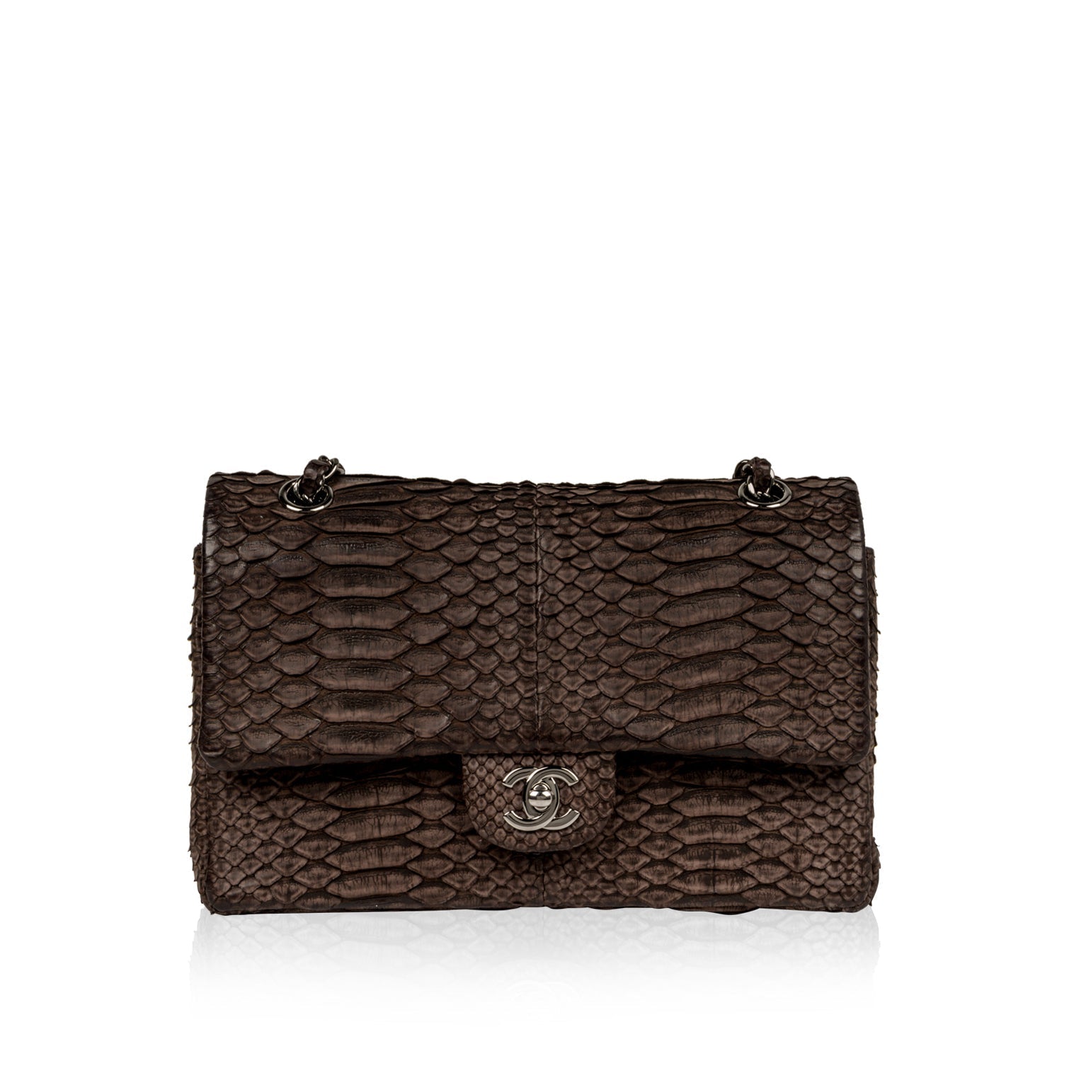 Chanel Classic Flap Bag Python