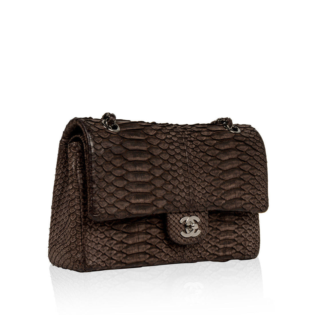Chanel Classic Flap Bag Python