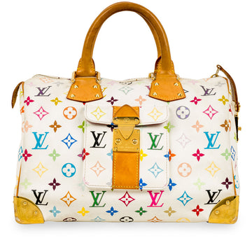Louis Vuitton Multicolore Speedy