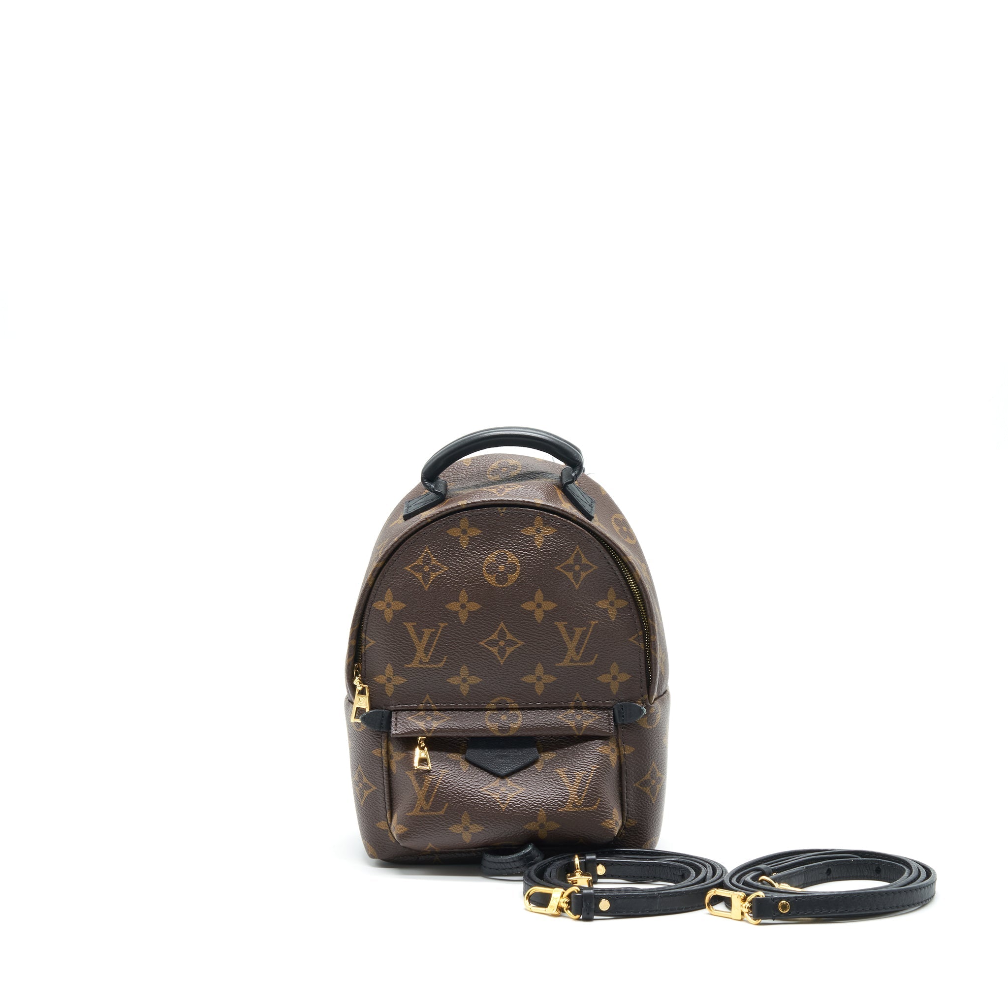 Louis Vuittin Palm Spring Backpack Mini Monogram Canvas