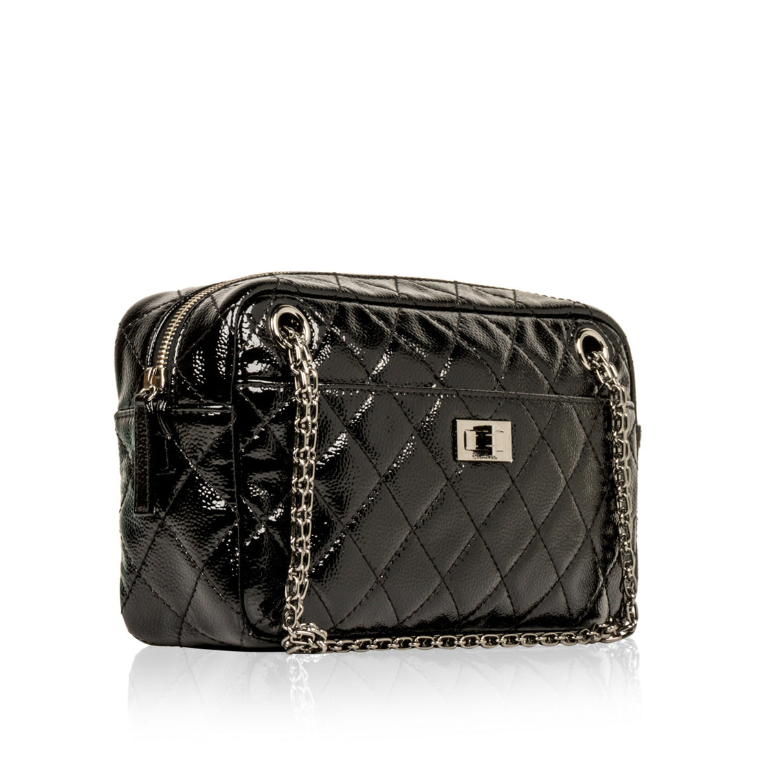 Chanel 2.55 Re-issue Camera case