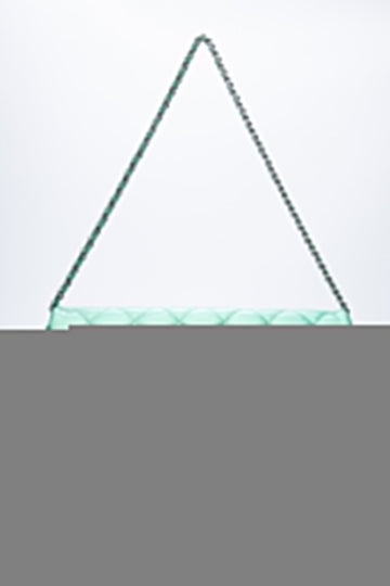CHANEL Timeless Clutch On Chain Patent Leather Green