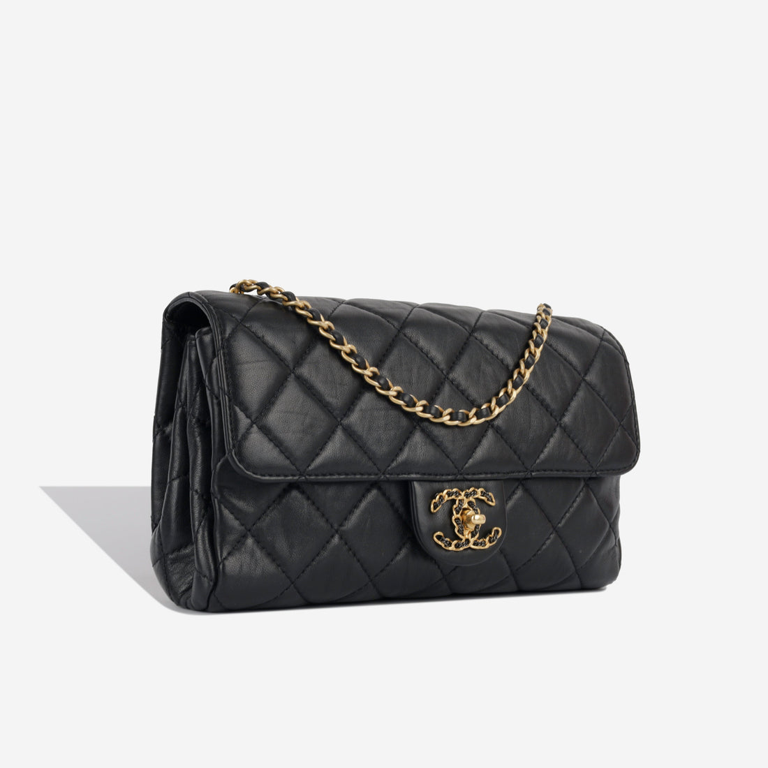 Chanel Seasonal 19 Flap