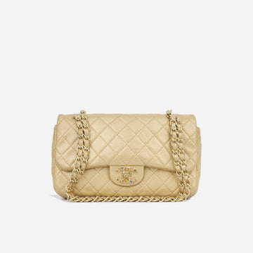 Chanel Seasonal Flap  Champagne Gold