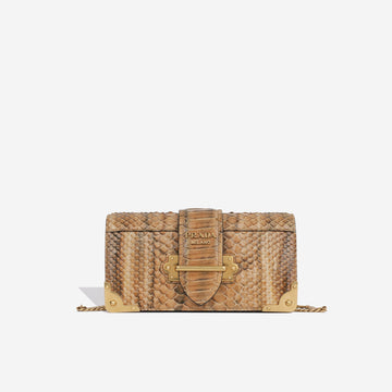 Prada Python Cahier Clutch