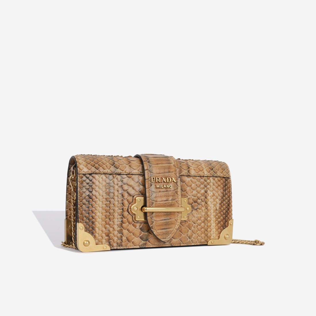 Prada Python Cahier Clutch