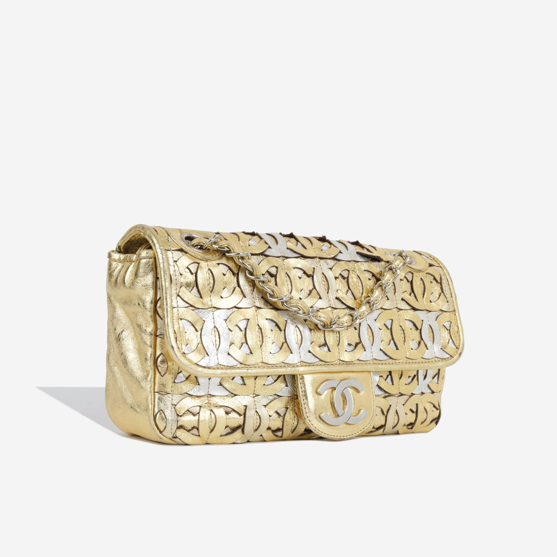 Chanel Seasonal Flap Bag