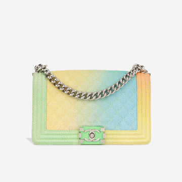 Chanel Boy Bag New Medium