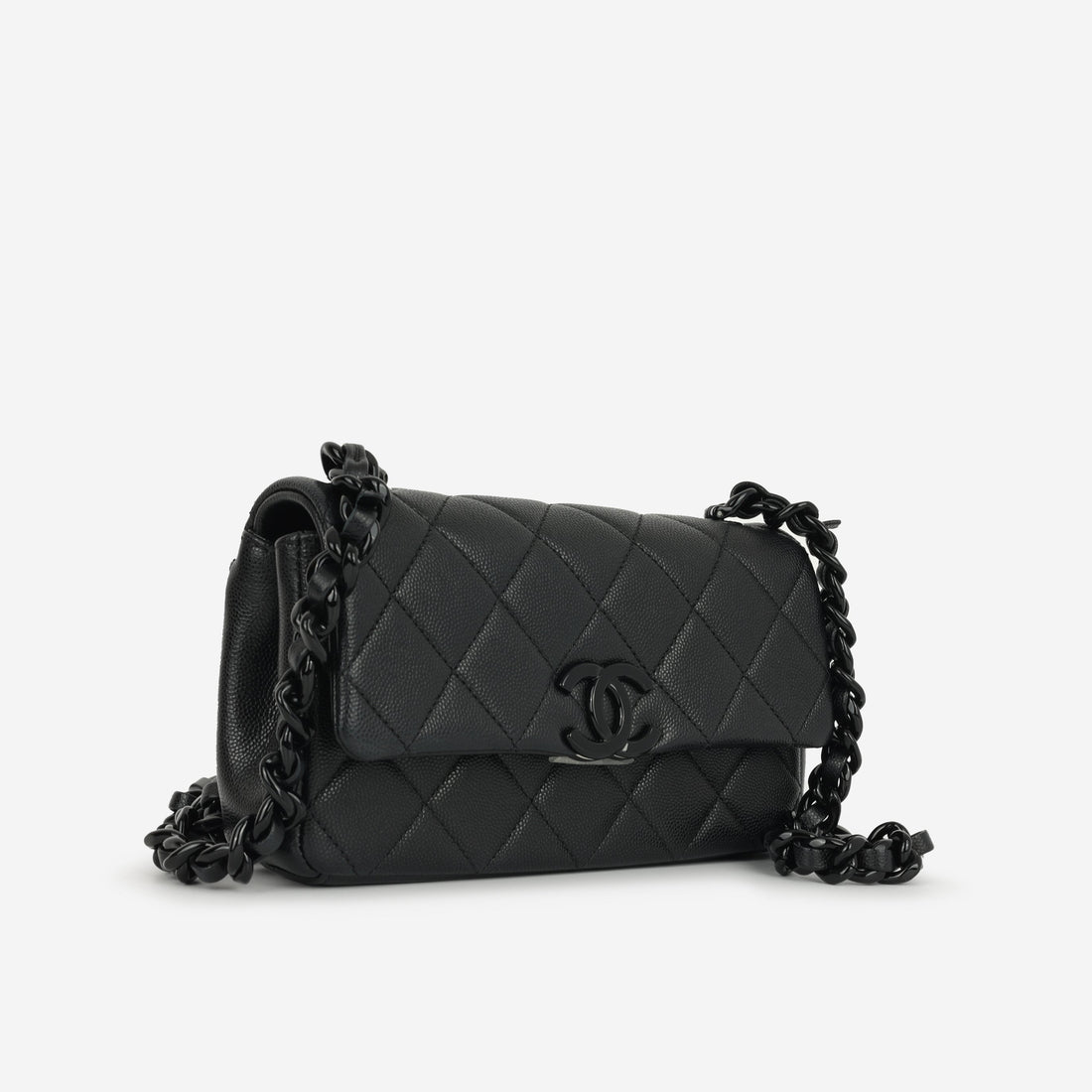 Chanel Seasonal Mini Flap