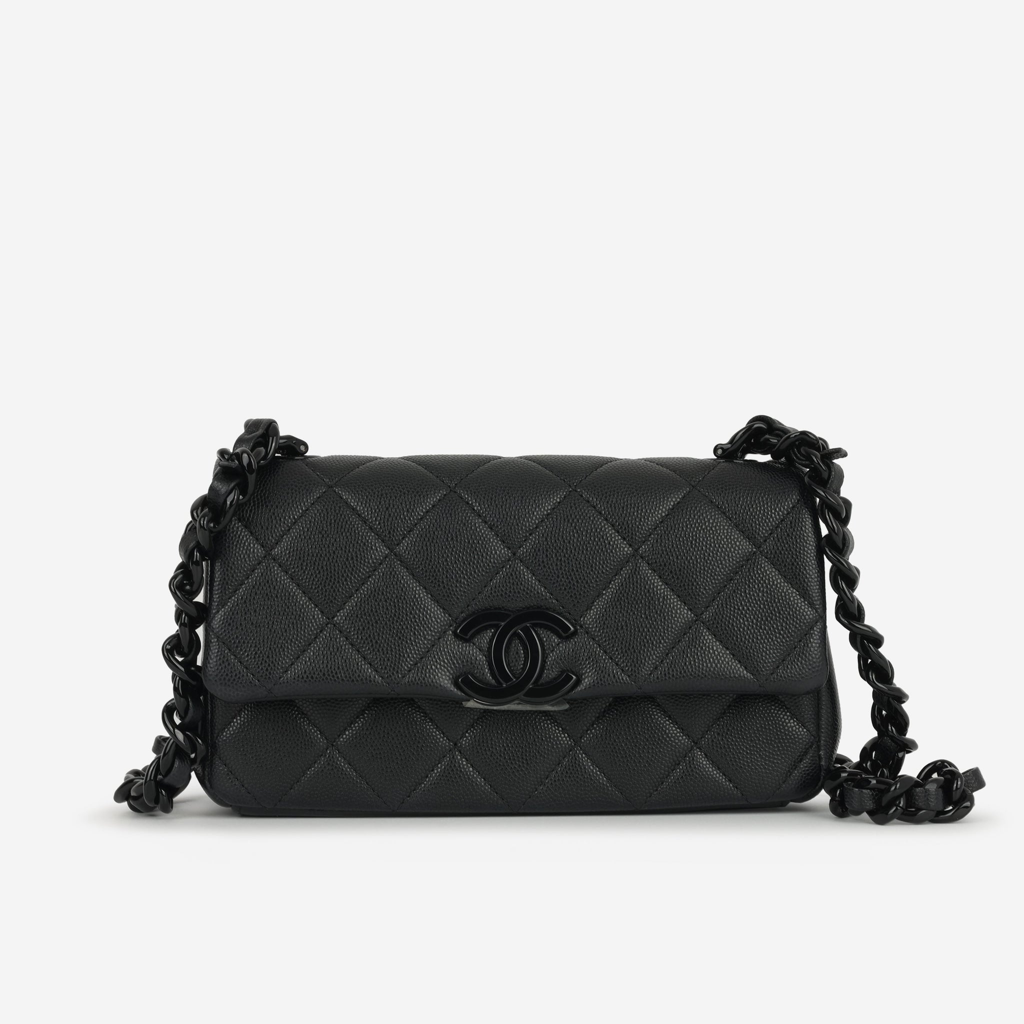 Chanel Seasonal Mini Flap