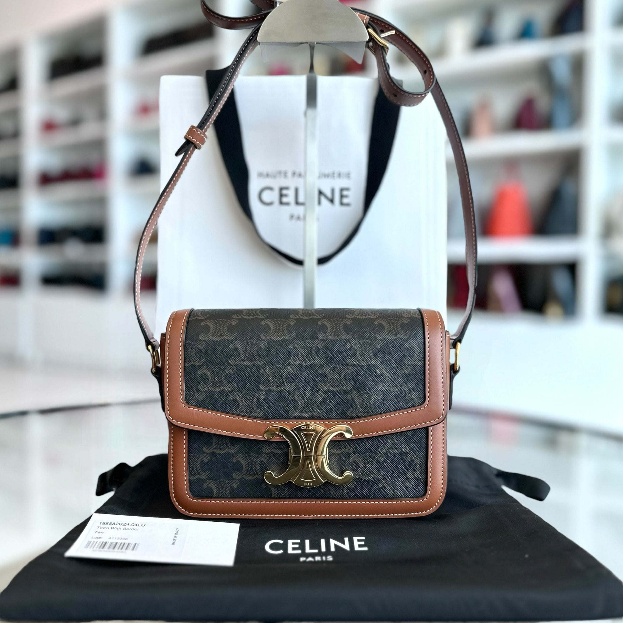 Celine Teen Triomphe in Triomphe Canvas Crossbody Bag