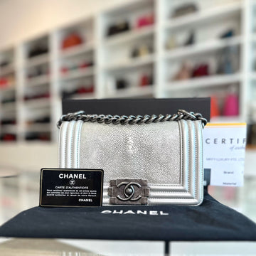 Boy Stingray Small 20CM Silver Gray RSHW No 23