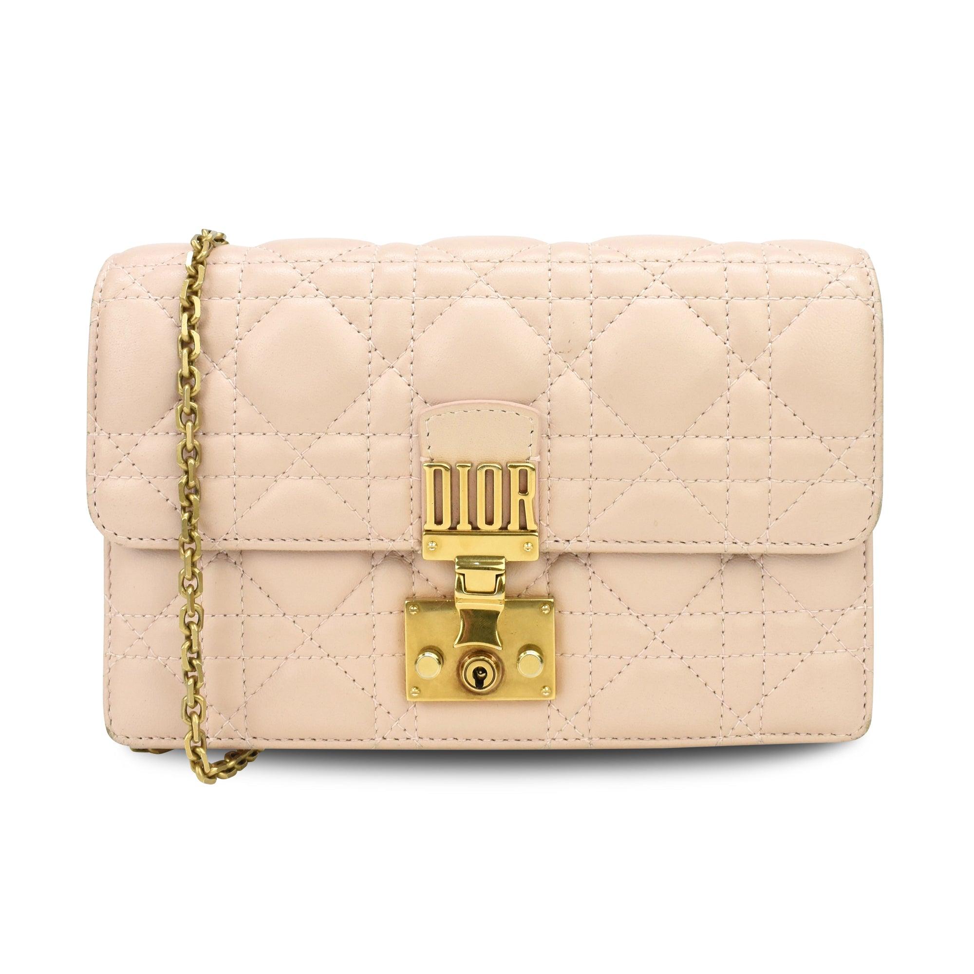 Christian Dior Wallet on Chain