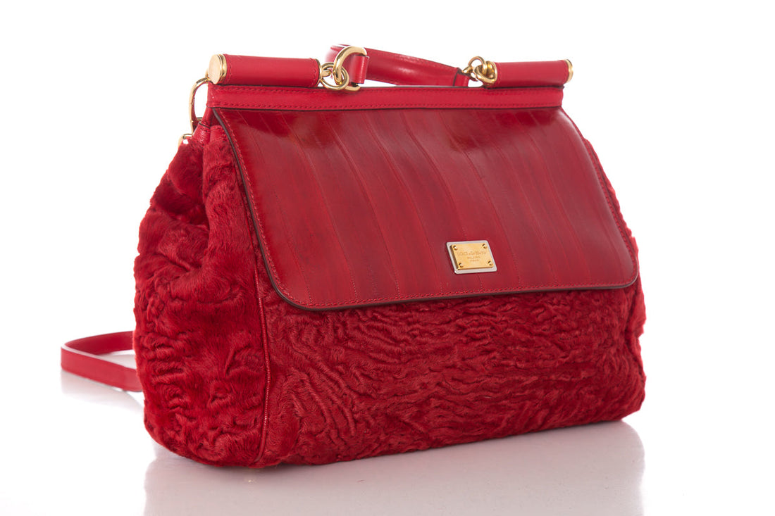 Dolce & Gabbana Red Fur & Leather Shoulder Bag