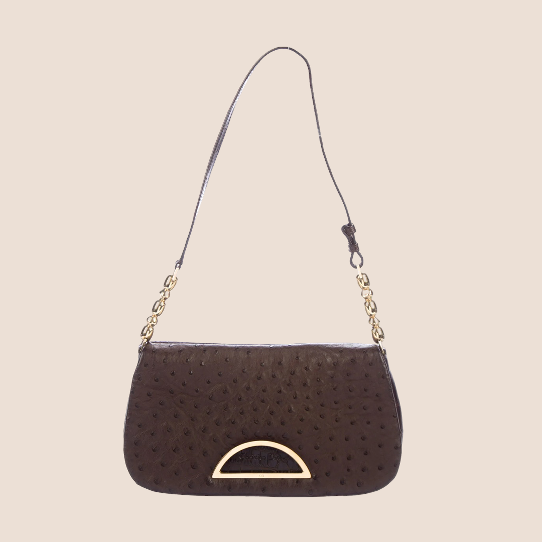 CHRISTIAN DIOR 2000 BROWN OSTRICH & CROCODILE MALICE BAG
