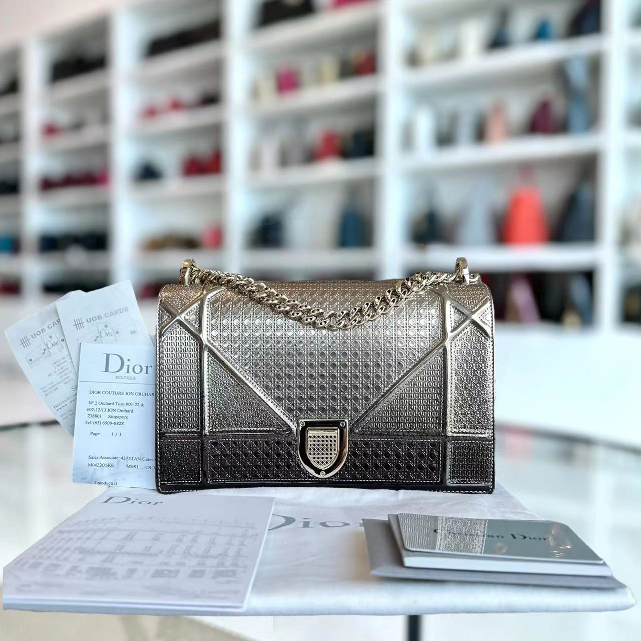 *Receipt* Diorama Medium Micro-cannage Silver Two-tone Light Golden Hardware